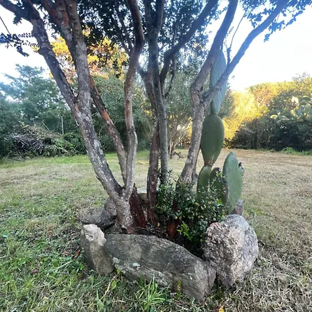 L' Erica - Dalma's - Costa Smeralda Lägenhet Cugnana Verde
