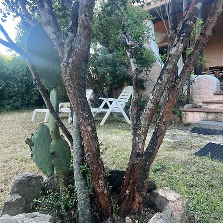 L' Erica - Dalma's - Costa Smeralda Apartmán *